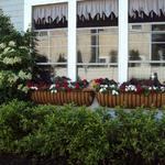 My Window Boxes, Fairfield CT