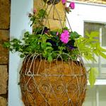 Kay's Hanging Basket, New Canaan CT